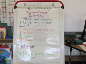 Mystery Reader